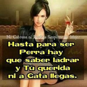 Meet your Posher, Lulú